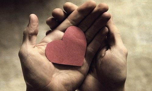 ¿Cómo curar un corazón roto? : La última investigación