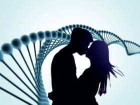 Encontrar el amor está en tus genes