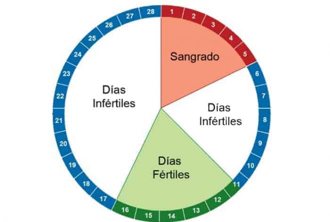 ¿Cuándo llega la menopausia?