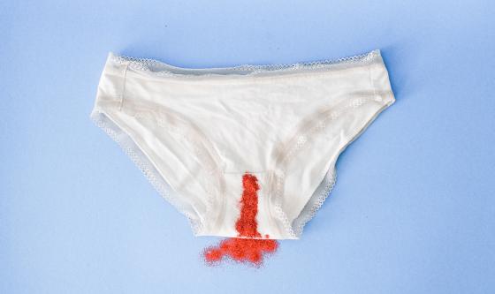 Menstruación, ovulación y fertilización - Hablemos de Sexo y Amor