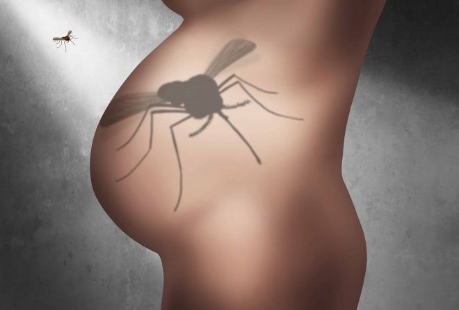 La enfermedad del Zika: Datos Básicos